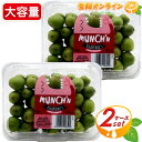 キウイ ≪450g×2ケースセット≫ ◎期間限定◎【コストコ】 ベビーキウイ ◎皮まで食べれる◎ キウイフルーツ 果物 BABY KIWI 幻のフルーツ ビタミン豊富 クール冷蔵【costco コストコ コストコ通販】