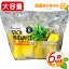 ≪2本×6袋入≫◎期間限定◎【Farmind】ファーマインド スティック パイナップル STICK PINEAPPLE 果物 果実 冷凍 フルーツ カットフルーツ スティックパイン クール冷凍【costco コストコ コストコ通販】