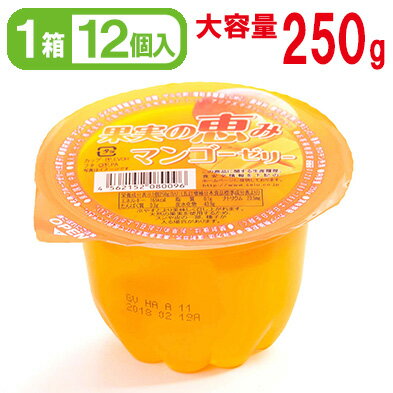 【果実の恵み】250gマンゴーゼリー 12個入り　セイウ