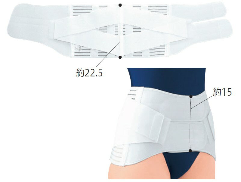 サクロデラックス 10642 L ホワイト