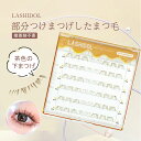 LASHIDOL 部分つけまつげ すぐピタまつ毛 下まつげ つけま つけまつげ のり付き したまつ毛 つけま 下まつ毛 部分用つけまつげ のり不要 ナチュラル ノリがいらないつけまつげ セグメント化された自己接着まつげ