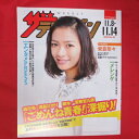 ザ・テレビジョン 2014年No.45 日本生命販促冊子●榮倉奈々、メレンゲ【中古】