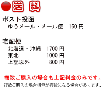 宝塚パーソナルブック VOL.9 夢輝のあ【中古】