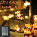 イルミネーション LED 電池式 3m メートル 30球 クリスマスツリー デコレーデョンライト LEDライト 送料無料 レインボー 光るケーブル Christ...