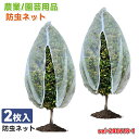 防虫ネット 180*180cm 園芸ネット 防鳥ネット 植物保護 野菜栽培 害虫の侵入を 保温 防霜 風通し 家庭菜園 畑 園芸 透明 ホワイト