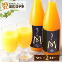 みかん 紅マドンナ 愛媛果試28号 100% ストレート ジュース 四国 愛媛 西予 えひめ せいよ お中元 御中元 ギフト 贈り物 内祝い 誕生日 御礼 お見舞い 紅まどんなジュース2本セット 720ml×2本 【マルワフルーツ園芸】