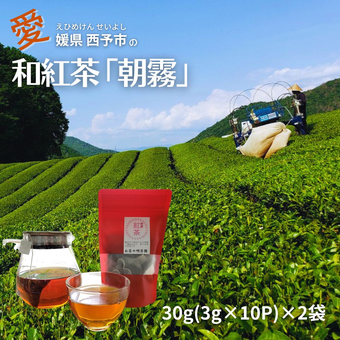 和紅茶 紅茶 お茶 国産 日本産紅茶 オーガニック 安心 安全 紅茶ティーバッグ 安心 グルメ 四国 愛媛 西予市 香り ティーバッグ 家庭用 えひめ せいよ 明芳園 お取り寄せ 美味しいものお取り寄せ 送料無料 3g×20包