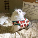 大きなイチゴの柄がかわいいレモンの背中のレズ ニット 秋冬のファッションにぴったりのペット用猫犬用のパーカーです。