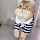 ペット 服 犬服 猫の秋の衣服には、毛が抜けるのを防ぐストライプTシャツ、布のぬいぐるみ猫、ブリティッシュショートヘア、ロシアンブルー、金漸層を持つペットキャッ...