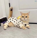 犬 服 おもしろ 猫 服 秋 冬 四つ 足 抜け毛 防止 シルバー グラデーションブルー パペット ブリ ティッシュ ショート ヘア 子 犬 犬家