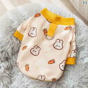 犬 服 おもしろ 猫ちゃん用の服、ペットの子猫、ぬいぐるみ、ブリティッシュショートヘア、防毛シーズンの可愛い柄の引きひも付きの二足歩行マンションウェア。