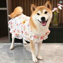 モチーフとしては、テディベア、柴犬、そして猫が描かれた薄手の防毛・日焼け対策用の四季対応背中の出る衣類。