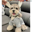 犬 服 おもしろ フード 付き ペット セーター 秋 冬新 トレンド ブランド シュナウザー テディ 防寒 子 犬 厚手 猫 服