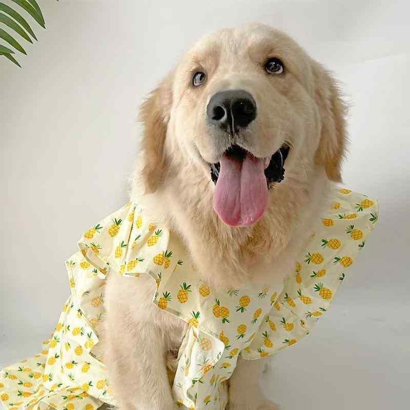 ペット服 犬服 春夏 ペット 犬 服 犬 ラブラドール サモエド スカート ゴールデンレトリバー ボーダー..