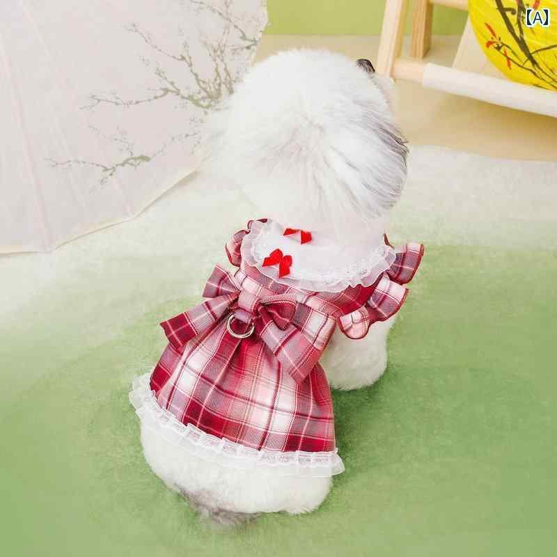  ڥå 襤 ĥ å    ݥ˥ 衼㡼 ƥǥ ޥ  ǭ ...