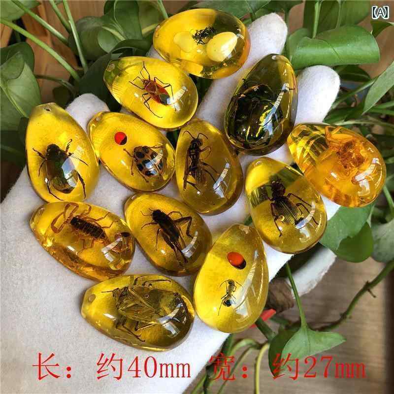 送料無料 おもちゃ ホビー 送料無料 おもちゃ ホビー 送料無料 おもちゃ ホビー 本物の 昆虫 琥珀 標本 子供の 発掘 考古学 ブラインド ボックス アクセ...