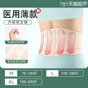 サポート ベルト レディース マタニティ 和風 腰 プロテクター 夏用 薄型 腰椎 椎間 板 レディース 腰痛 専門 医療 サポート サポート長 時間 座った...