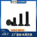 ネジ ボルト 釘 黒 304 ステンレス 皿 頭 プラム 六角 穴 付 ボルト フラット ヘッド M 2 25 3 4 5 6 8 10