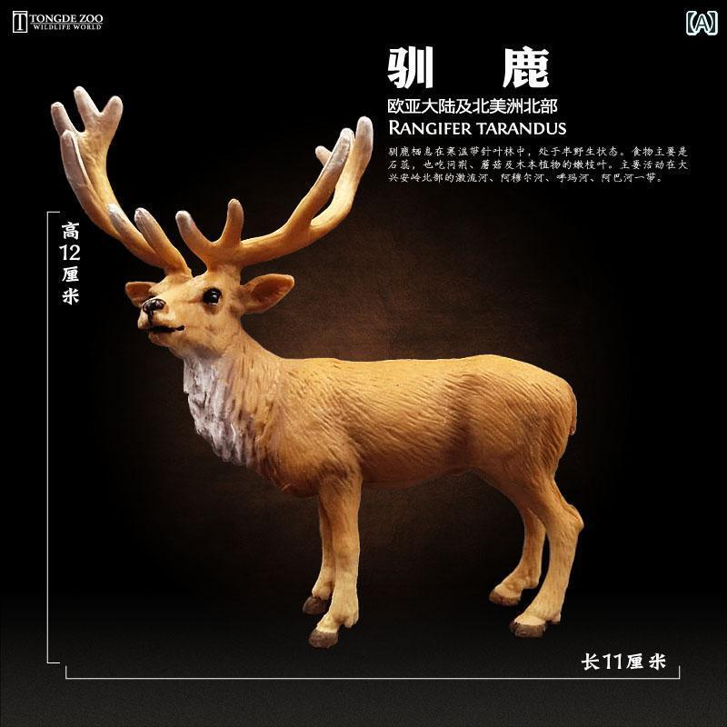 㡡ۥӡưʪ Ʊ  ߥ졼   ưʪ   إ饸  ȥʥ  Ҷ ǧ