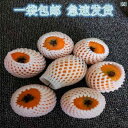 袋 メッシュ ネット フルーツ ネット カバー 耐衝撃 保護 スイカ リンゴ ビワ 卵 バッグ 包装 プラム