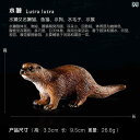 おもちゃ 動物 フィギュア 海洋 動物 シミュレーション 水中 世界 生き物 魚 おもちゃ カニ ロブスター マッコウクジラ ヤドカリ ヒトデ