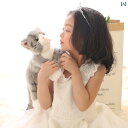 ぬいぐるみ 人形 おもちゃ かわいい シミュレーションの 小さい オレンジ色の ぬいぐるみ 人形 英国 短い 青い 猫の 赤ちゃんの 誕生日 プレゼント