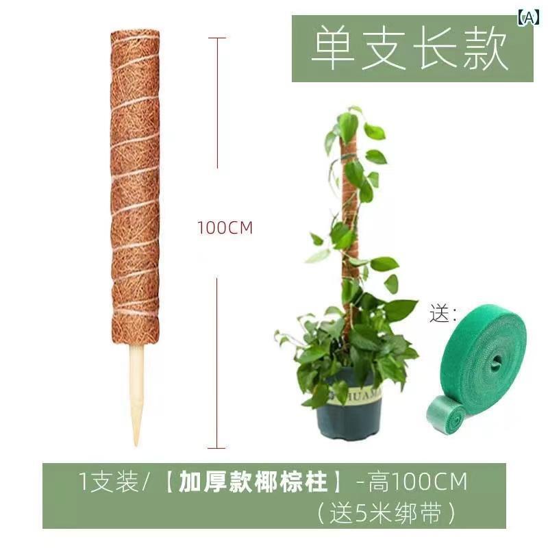 ガーデニング DIY 道具 ココヤシの 棒 緑の 大根の 柱 パイル 植物 フラワー ラック 登山用 フレーム モンスター 竹の 支柱 ココナッツ シルクの 苔の 巻き ヤシ 革