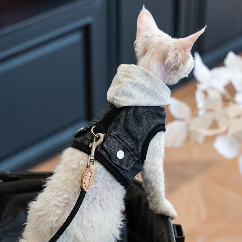 猫用バッグ Ren Facai キャンプ アウトドア 猫 散歩 カウボーイ フード 付き チェストハーネス デボン ヘアレス 猫 牽引 ロープ チェストハーネス