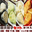 四大餃子セット 白龍餃子 青龍餃子 黒龍餃子 レッドドラゴン 38個入り 餃子 PAIRON 肉汁餃子 手延べ 手包み ぎょうざ 冷凍餃子 点心