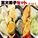 五大餃子セット 白龍餃子 青龍餃子 セロリ餃子 黒龍餃子 レッドドラゴン 48個入り 餃子 PAIRON 肉汁餃子 手延べ 手包み ぎょうざ 冷凍餃子 点心