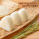 【地元応援企画】令和5年新米 送料無料 熊本のおいしいお米 コシヒカリ 2kg×1 熊本県産100% 2
