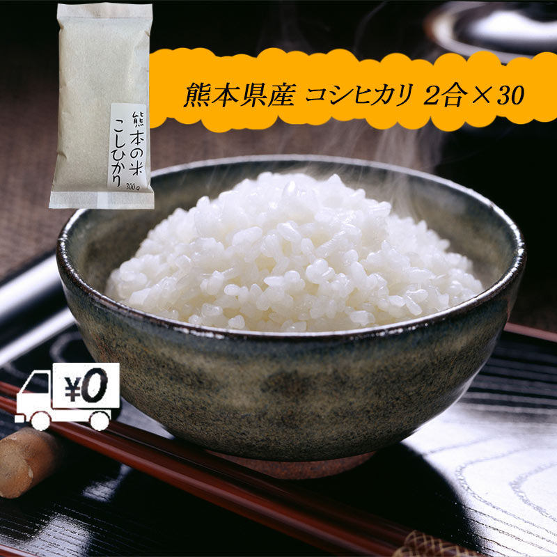 【地元応援企画】令和4年 送料無料 熊本のおいしいお米 コシヒカリ 300g×30 ...