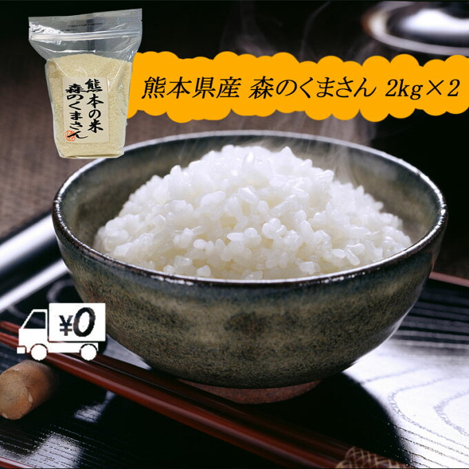 送料無料 熊本のおいしいお米 森のくまさん 2kg×2 合計4kg 令和元年 熊本県...