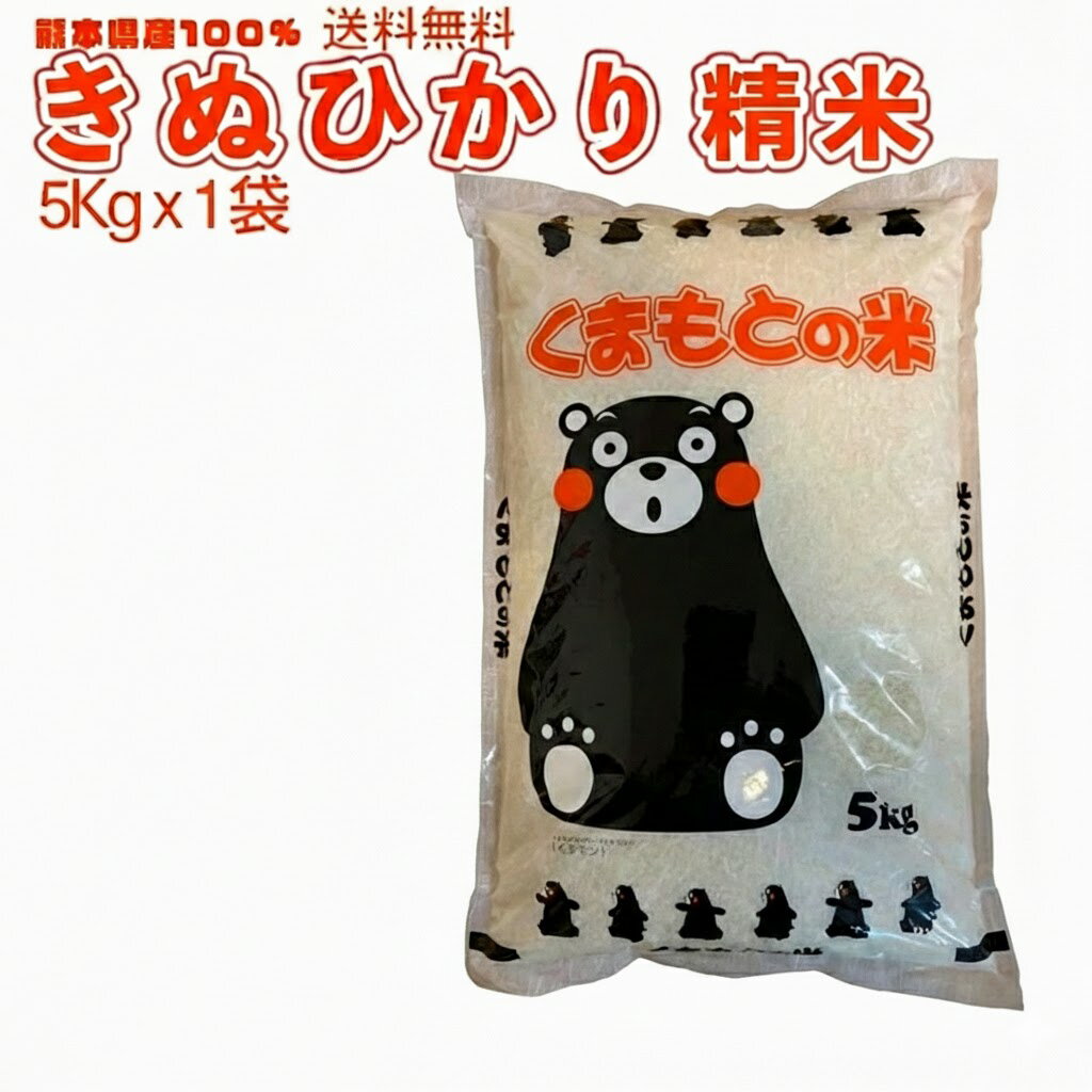 Kinuhikari - 令和7年 お米 5kg 10kg 15kg 精米 熊本県産100%『きぬひかり』 5kgパッケージ 白米 単一国産米 くまモン プレゼント 粗品などにも最適