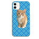 iPhone 11専用 動物 アニマル CAT かわいい 子ねこ ライトブルー ライトブルー 水色 キュート 猫 ガーリー