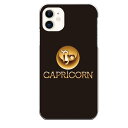 iPhone 11専用 capricorn 山羊座 恒星 星座 シンプル ラグジュアリー やぎ座