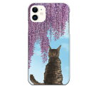 iPhone 11専用 かわいい おしゃれ 映え 猫 ネコ cat 後ろ姿 サビ猫 藤の花 空 儚さ エモい メルヘン 花