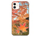 iPhone 11p gt ݂ gt   H I[^ Autumn gtDɃIXX G  R V A i