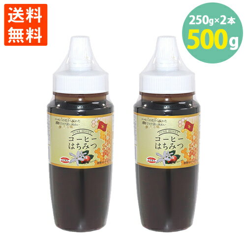 送料無料 コーヒーはちみつ 珈琲蜂蜜 ベトナム産 250g×2本=500g 学校給食食材問屋 送料無料 コーヒーはちみつ 珈琲蜂蜜 ベトナム産 250g×2本=500g 学校給食食材問屋