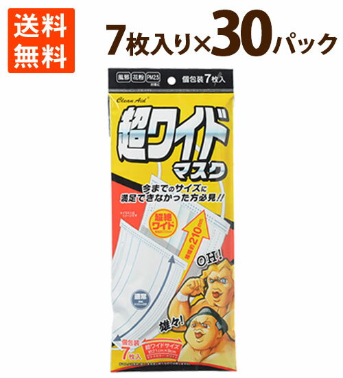 マスク 不織布 でかい LL サイズ 3L 大きい 耳痛くない アズフィット クリーンエイド 使い捨て 男性用 女性用 男女兼用 超ワイドマスク 7枚 個包装×30パック ポイント消化 送料無料