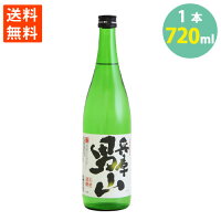 日本酒 兵庫 男山 名城酒造 日本酒 辛口 13.8% 冷 燗 720ml ポイント消化 送料無料