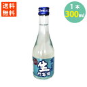 日本酒 銀次郎 名城 生貯蔵 甘口 さらさら 清涼感 300ml 送料無料