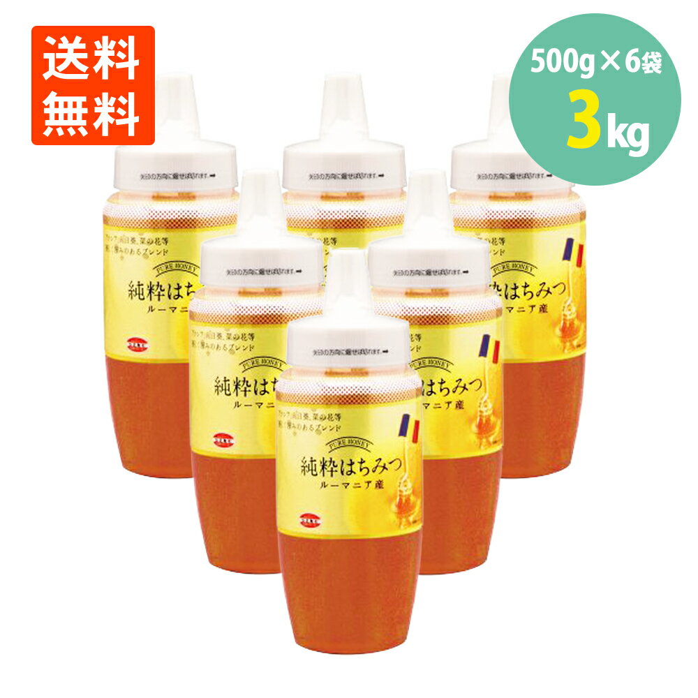 純粋 ルーマニア産 はちみつ 500g×6本 純粋ハチミツ ブレンド 蜂蜜 ポリ容器 送料無料