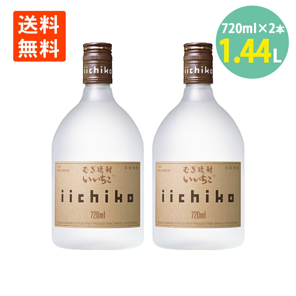 いいちこシルエット 720ml×2本 いいちこ 25度 麦焼酎 三和酒類 iichiko 焼酎 送料無料