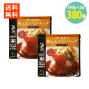 煮込みハンバーグ テリヤキソース 190g×2袋 開花亭 送料無料 ハンバーグ レトルト テリヤキ ハンバーグ レンジ