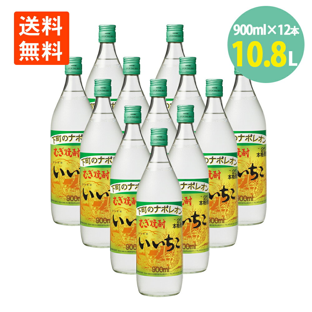 いいちこ 25度 900ml×12