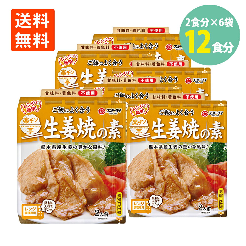 楽チン亭 生姜焼の素 60g(2食分)×6袋 フンドーダイ 送料無料 メール便生姜焼きのタレ 生姜焼きのたれ 電子レンジ 簡単 時短 おかず ご飯 お弁当 しょうが焼 ソース たれ 生姜焼き タレ レンジ おいしい 調味料 熊本 甘味料 着色料 不使用