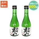 日本酒 兵庫 男山 名城酒造 日本酒 辛口 13.8% 冷 燗 300ml 2本セット ポイント消化 送料無料