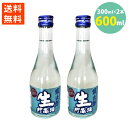 日本酒 銀次郎 名城 生貯蔵 甘口 さらさら 清涼感 300ml 送料無料 2本セット