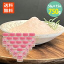 岩下の新生姜 塩 50g瓶×2本 わけあり 賞味期限2025.8.6 岩下食品 新生姜 送料無料 塩 しお 調味塩 新生姜 岩塩 ステーキ からあげ 天ぷら サラダ おいしい ピンクソルト シーズニングソルト